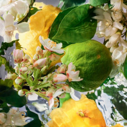 Aqua allegoria Bergamote...