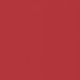 The Gloss No Transfer - Coral 05