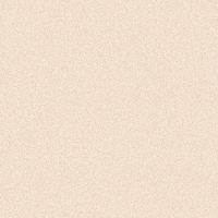 POUDRE UNIVERSELLE LIBRE - RICARICA POLVERE LIBERA RISULTATO NATURALE. FORMATO DA VIAGGIO. - MEDIUM LIGHT 20