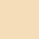 Infaillible Skin Ink - Light Warm 100