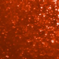 LE VERNIS - LUNGA TENUTA - ALCHIMISTE 369