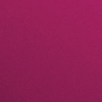 LE VERNIS - COLORE E BRILLANTEZZA A LUNGA TENUTA - PERFORMER 387