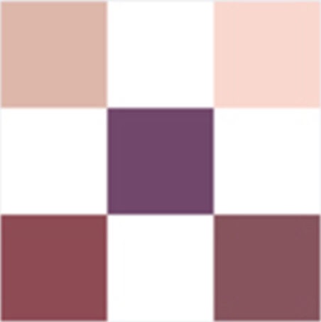 DIORSHOW Palette 5 Couleurs - Plum Tutu 183