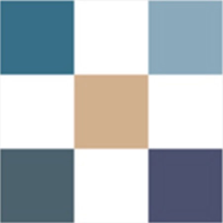 DIORSHOW Palette 5 Couleurs - Denim 279