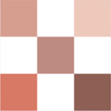 DIORSHOW Palette 5 Couleurs - Toile de Jouy 429