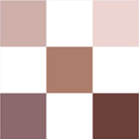 DIORSHOW Palette 5 Couleurs - Soft Cashmere 669
