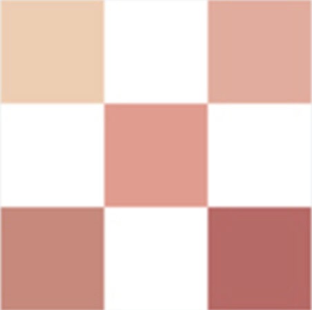 DIORSHOW Palette 5 Couleurs - Rose Tulle 743