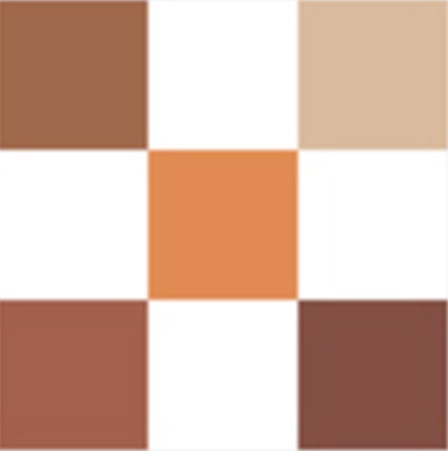 DIORSHOW Palette 5 Couleurs -  Copper 439