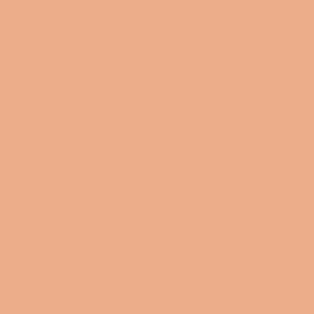 Dior Vernis - Sunset 110