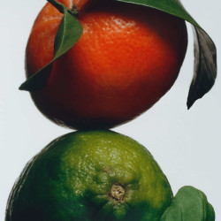 Lime Basil & Mandarin -...