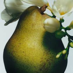 English Pear & Freesia -...