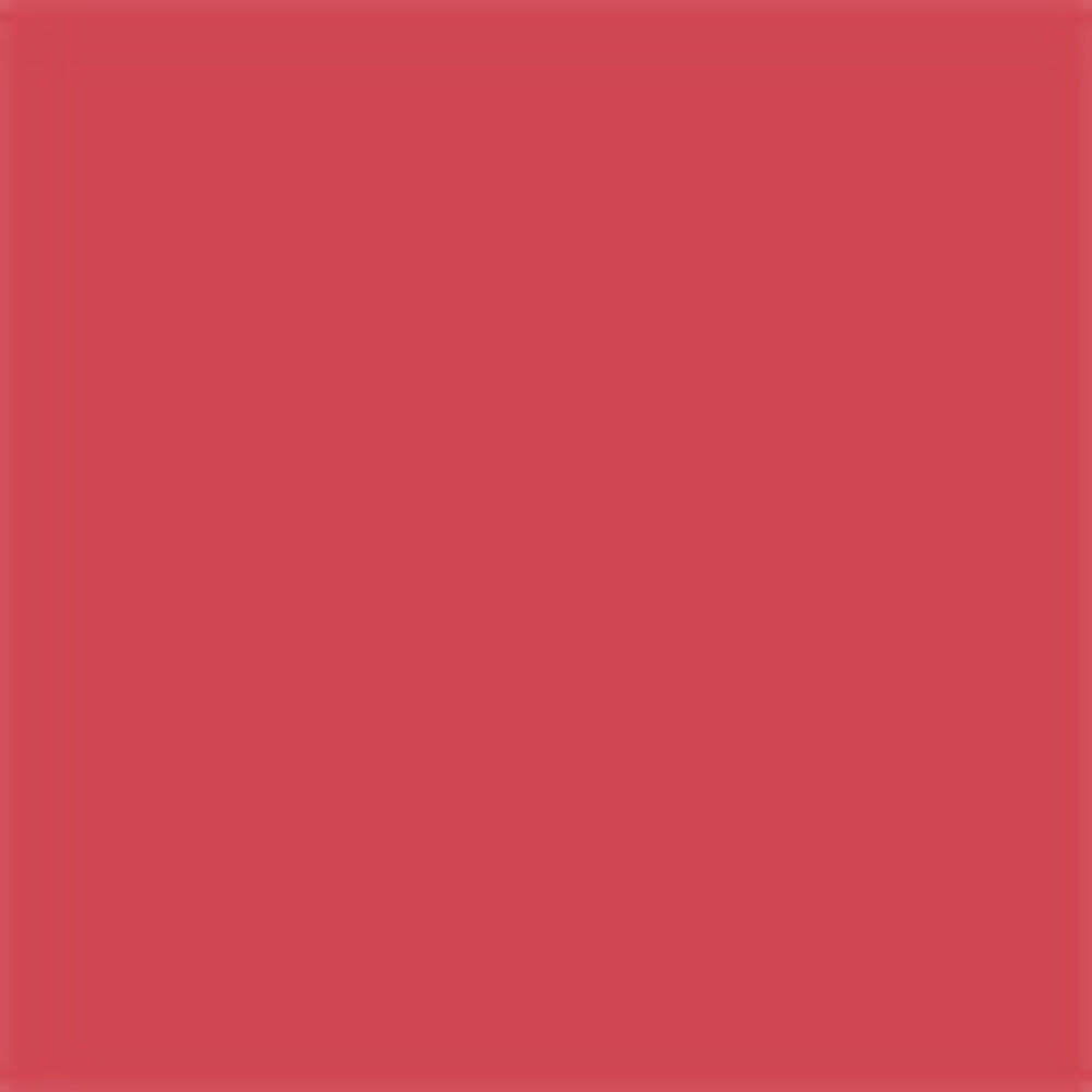 Rouge Dior On Stage Ink Blur Matte - Rose Icone 480